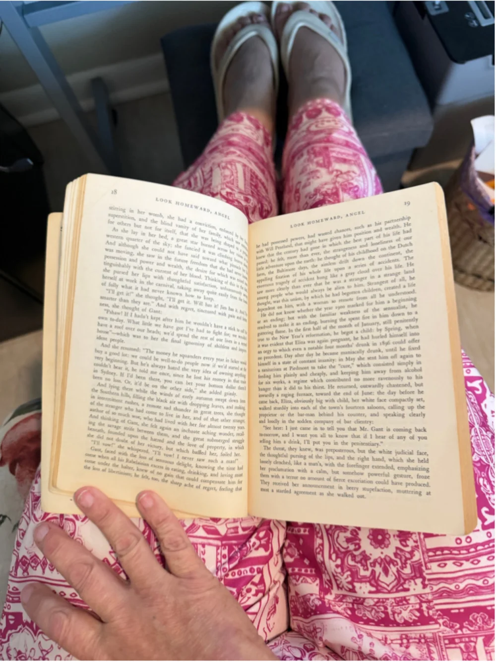 Look Homeward, Angel by Thomas Wolfe, Scribner Library Edition, Vintage Reads